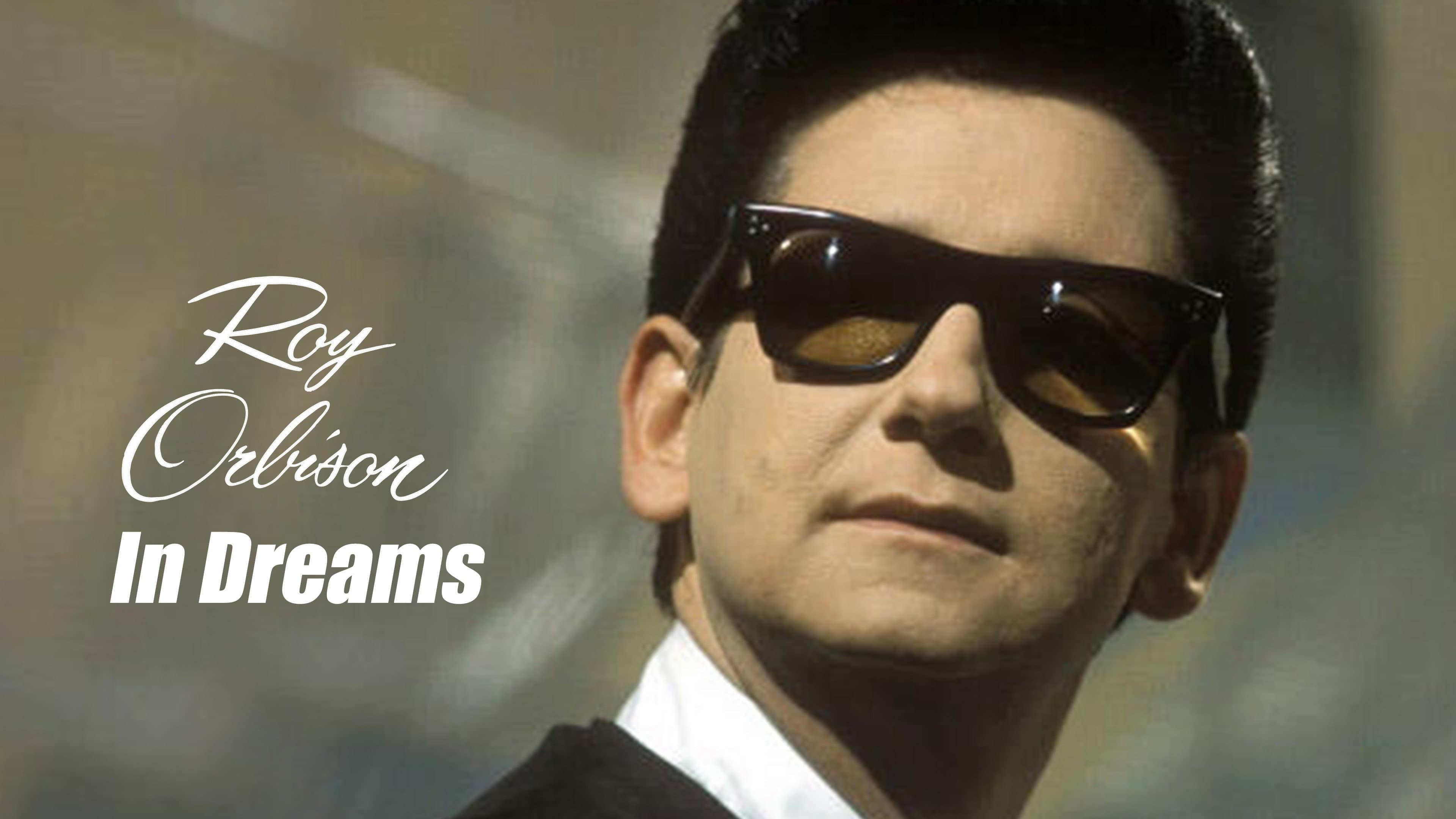In Dreams: The Roy Orbison Story - immagine