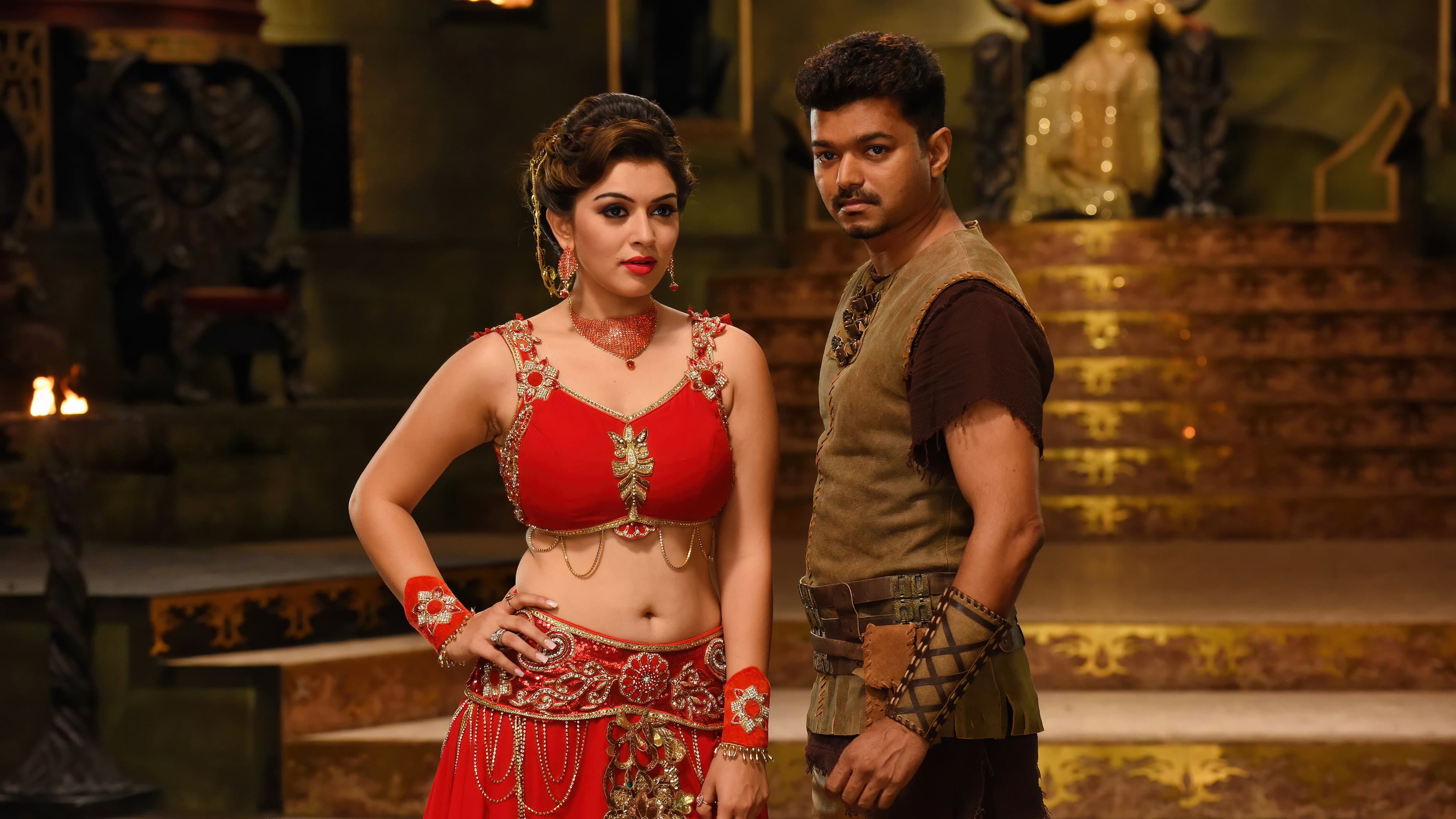 புலி - immagine