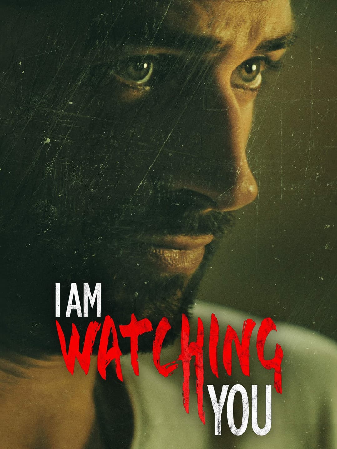 Poster di Lo stalker della finestra di fronte