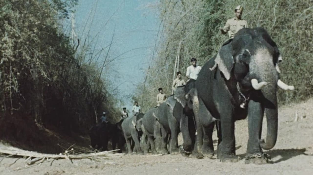 India: Matri Bhumi - immagine