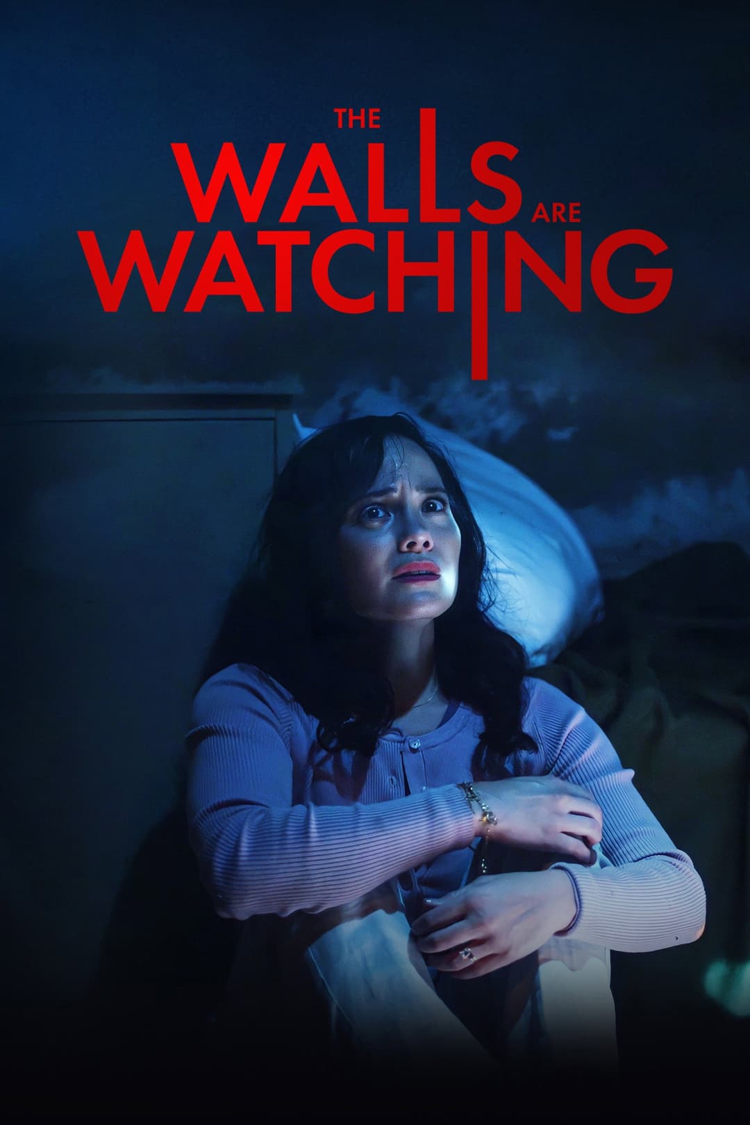 Poster di The Walls Are Watching