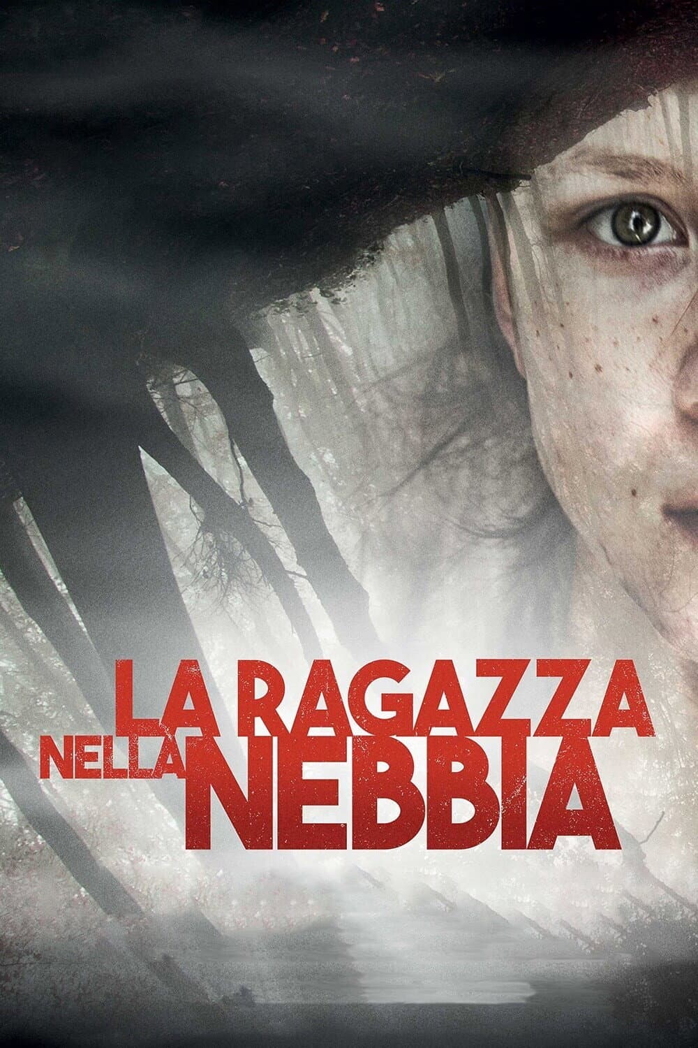 Poster di La ragazza nella nebbia