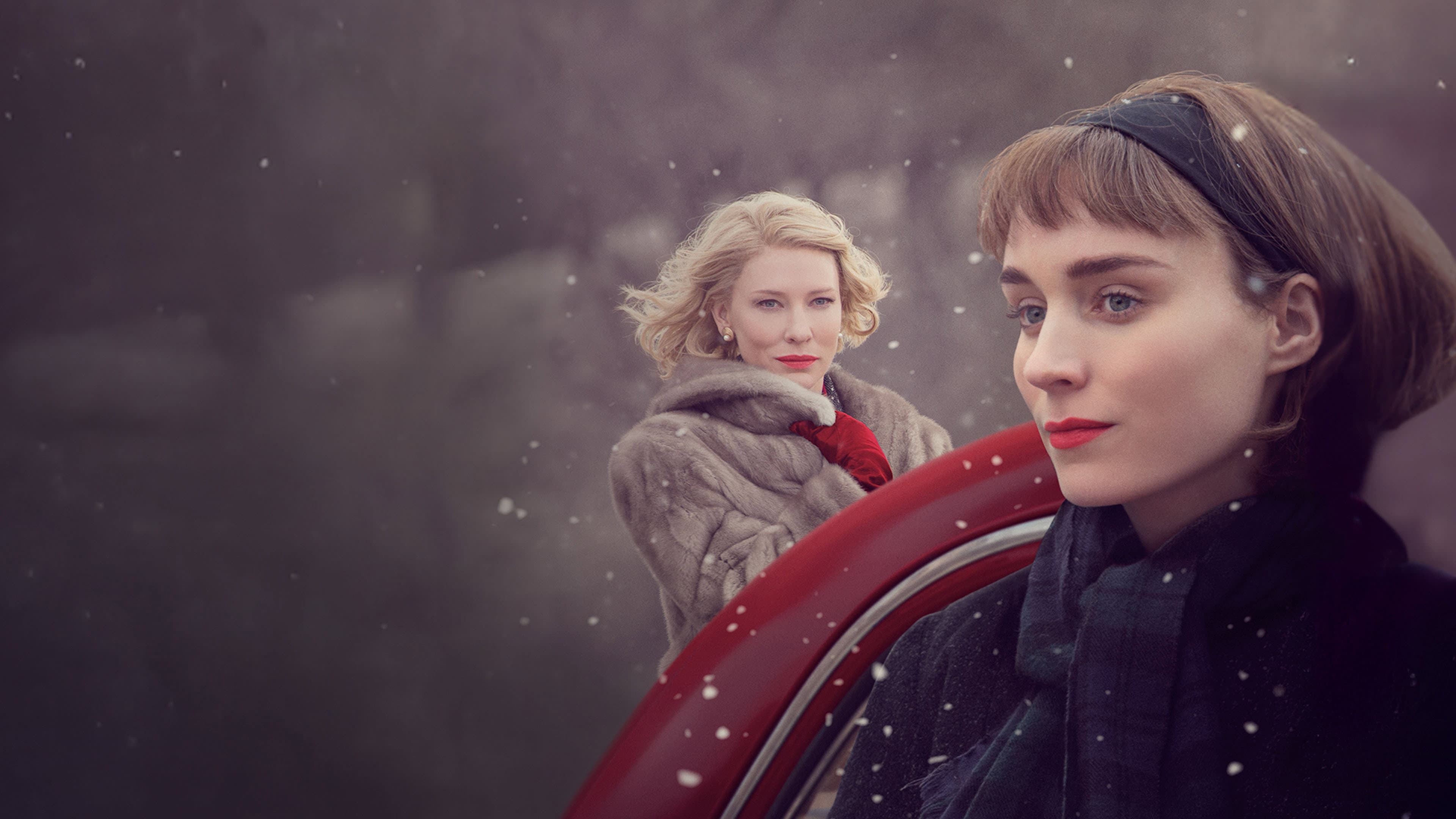 Carol - immagine
