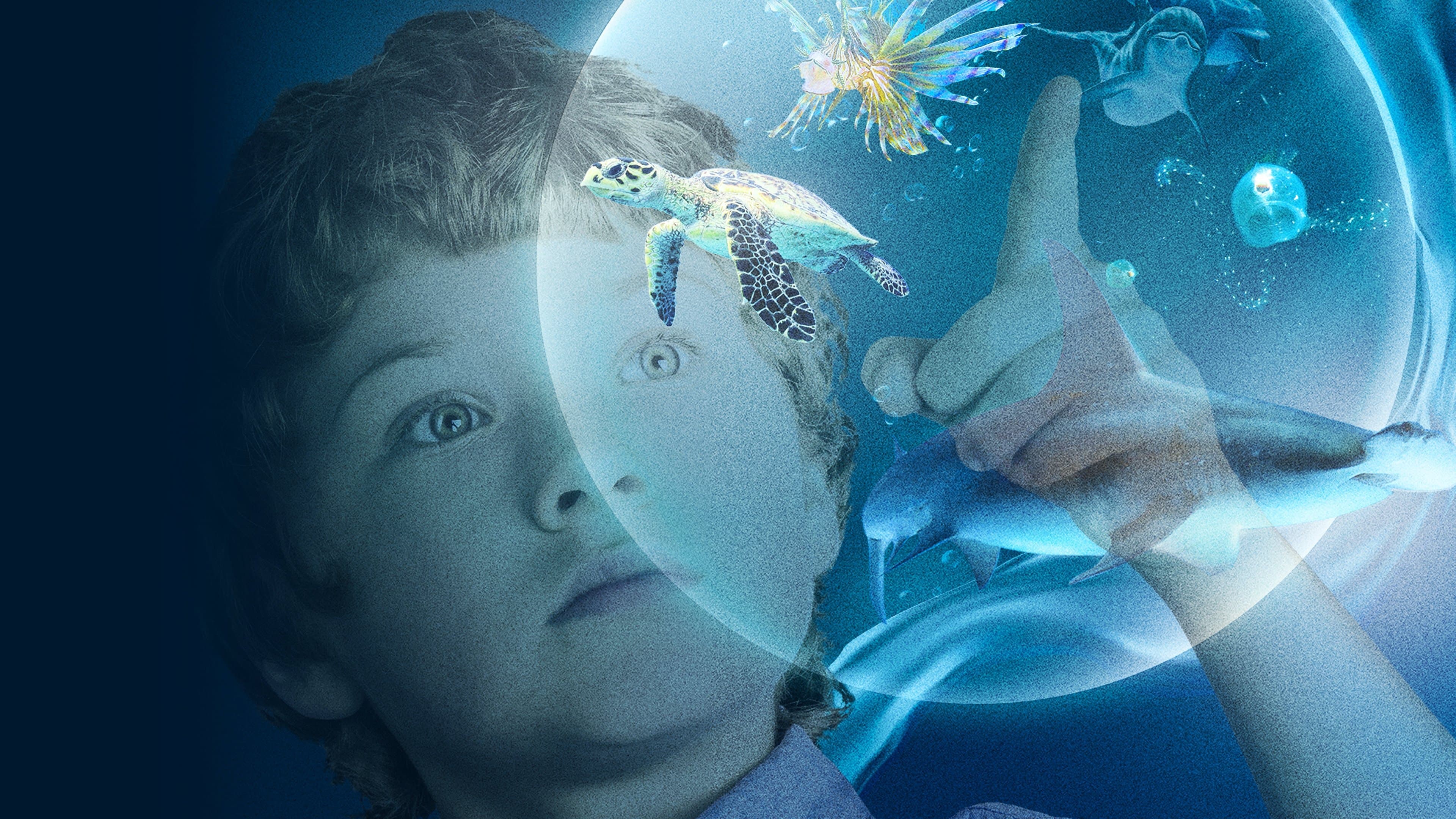 Le meraviglie del mare - immagine