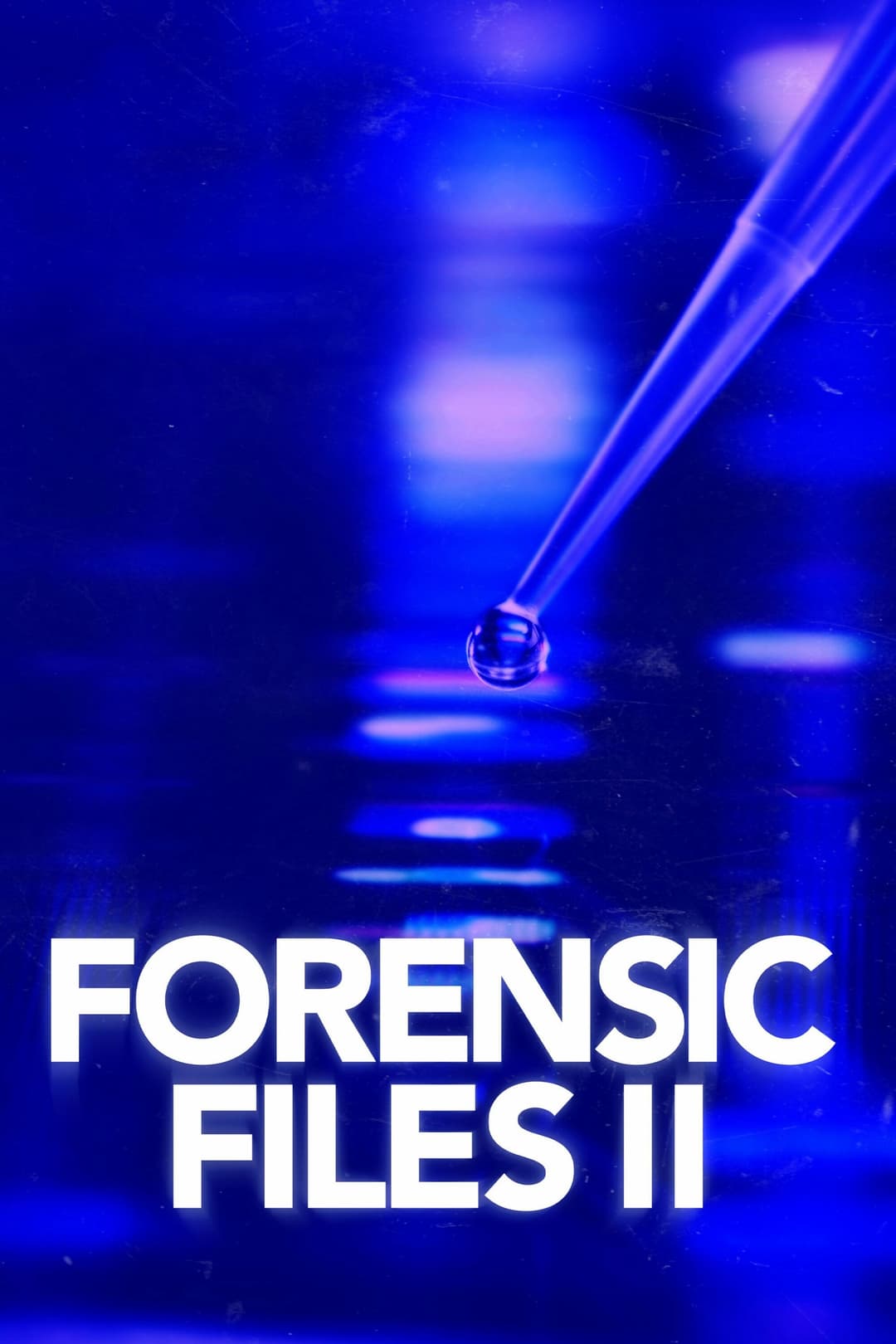 Poster di Forensic Files II