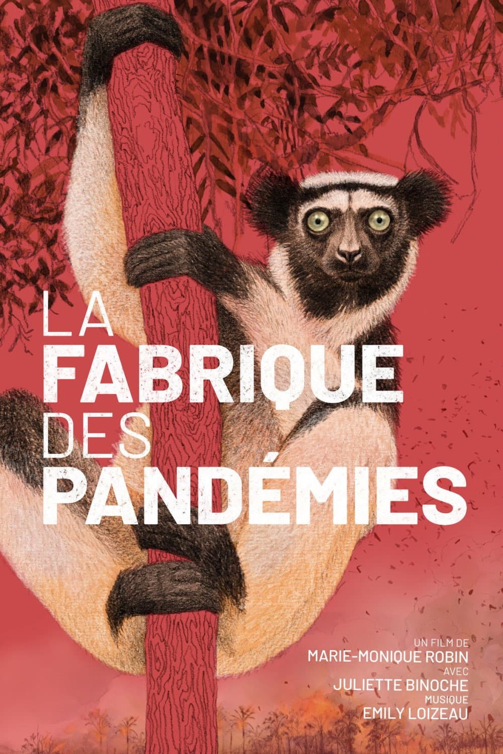 Poster di La fabrique des pandémies