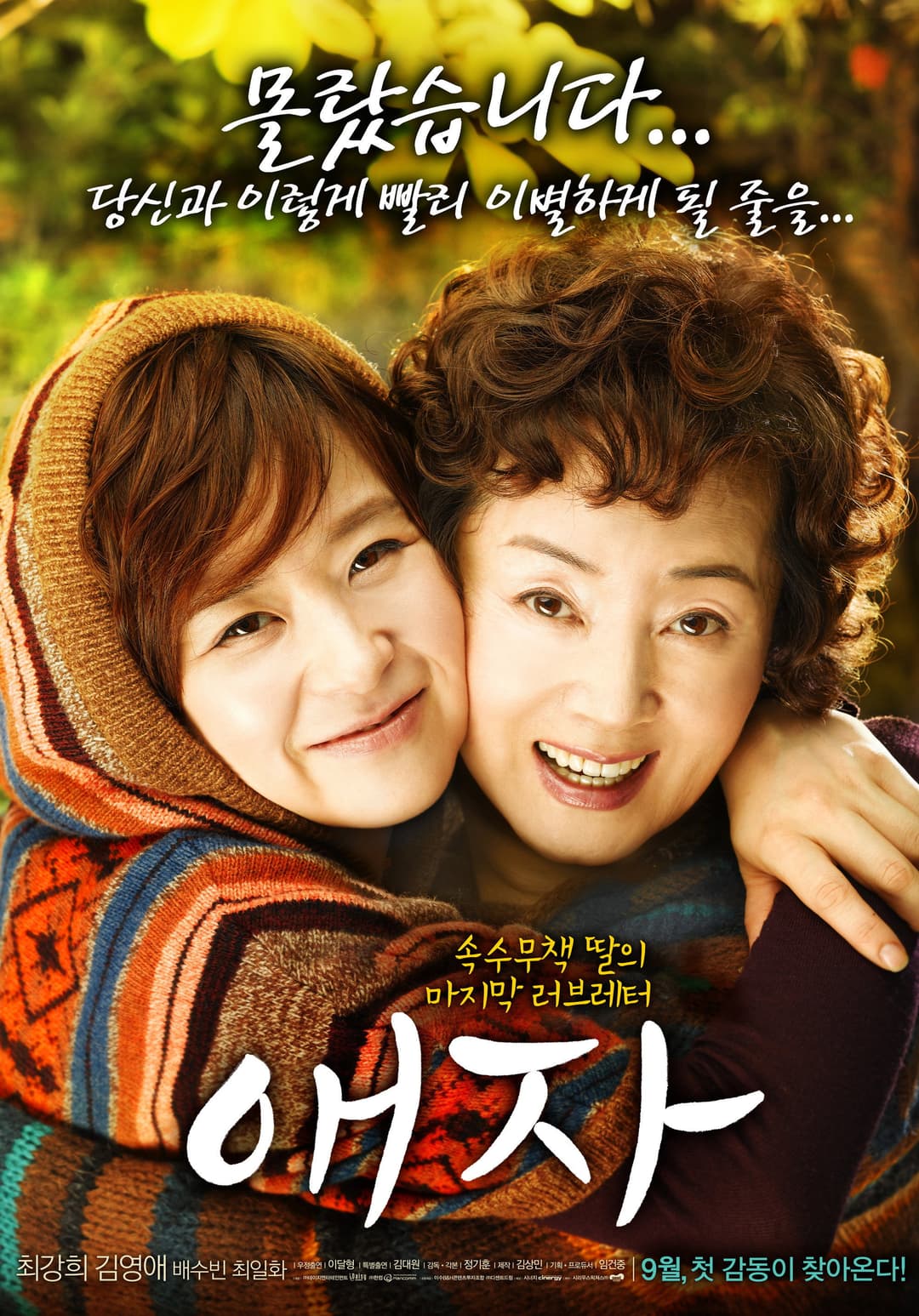 Poster di 애자