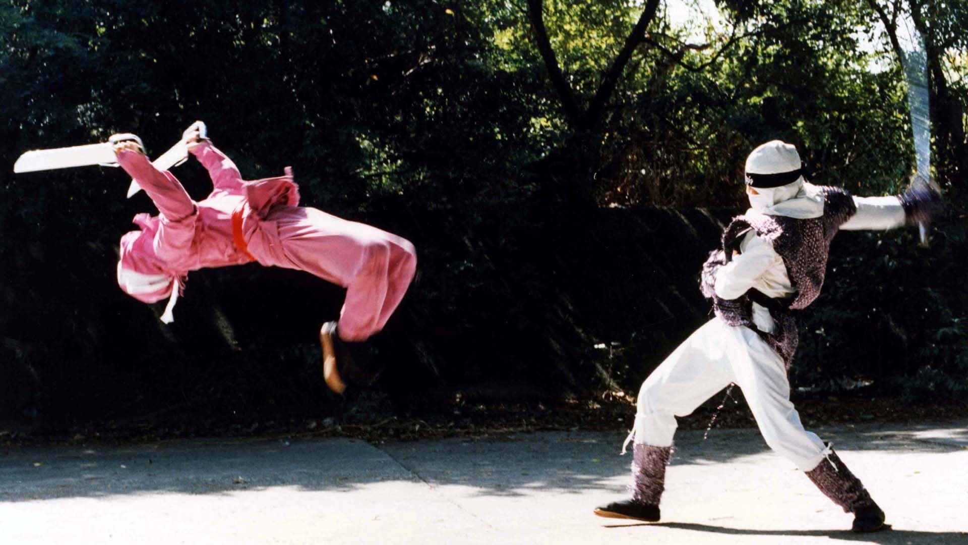 The Ninja Showdown - immagine