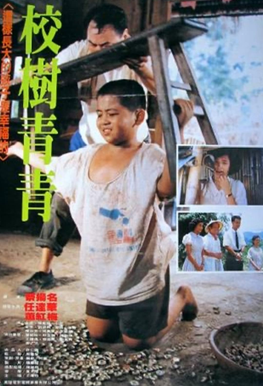 Poster di 校樹青青