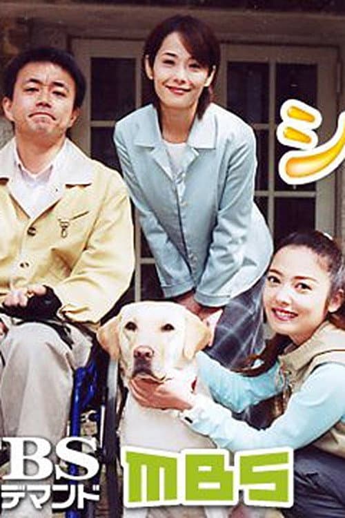 Poster di シンシア 〜介助犬誕生ものがたり〜