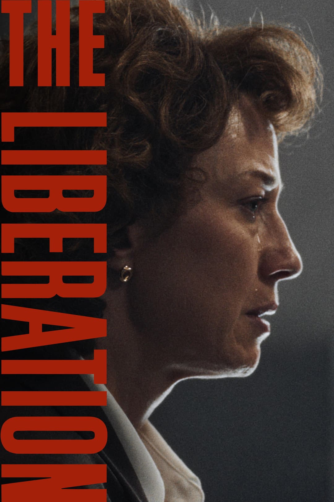 Poster di The Liberation