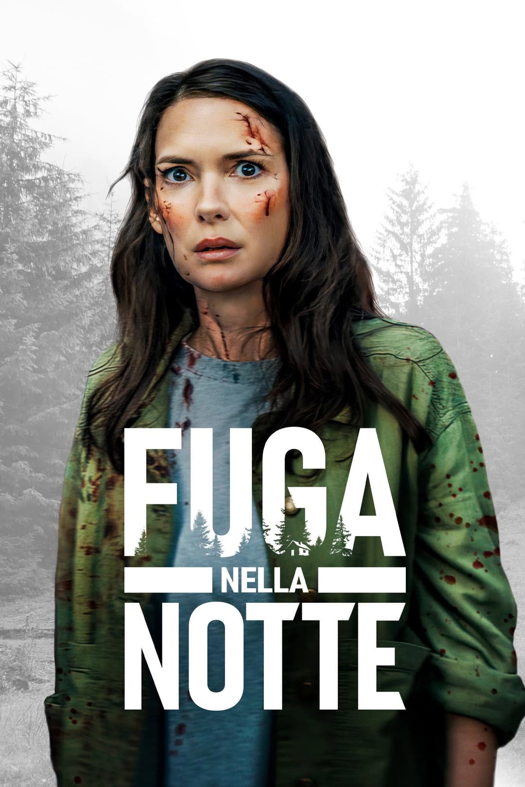 Poster di Fuga nella notte
