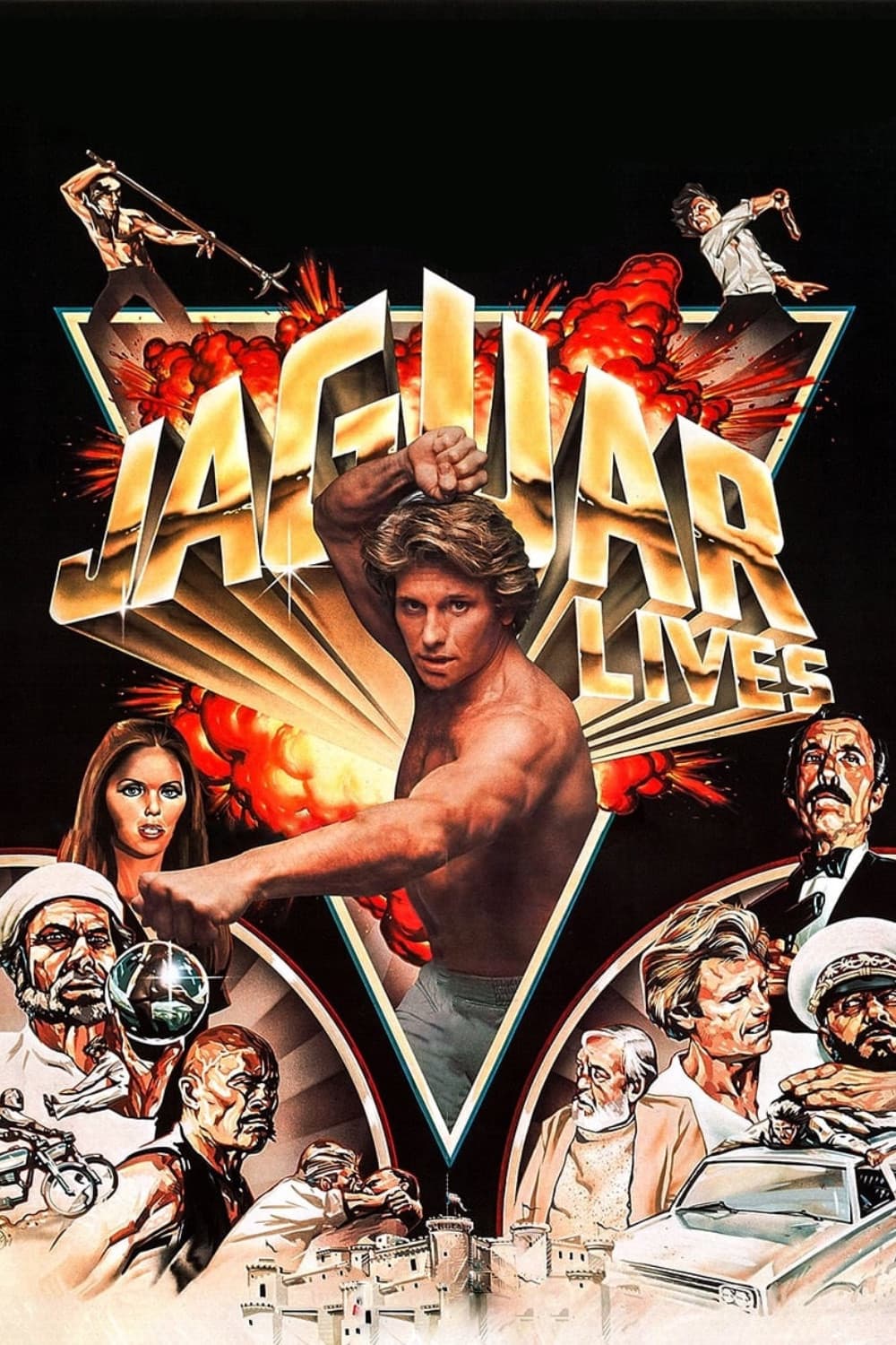 Poster di Nel mirino del giaguaro