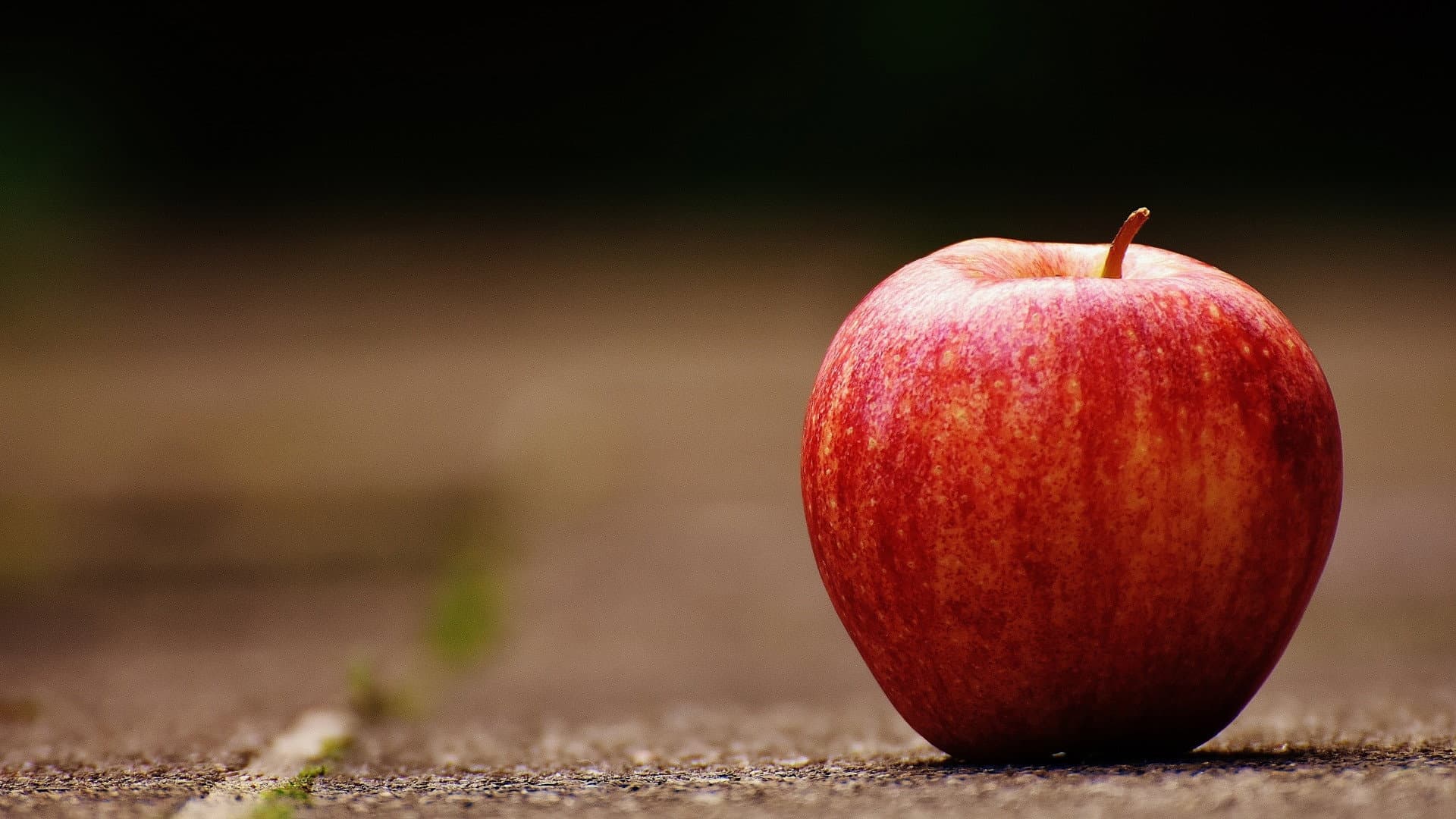 The Apple War - immagine