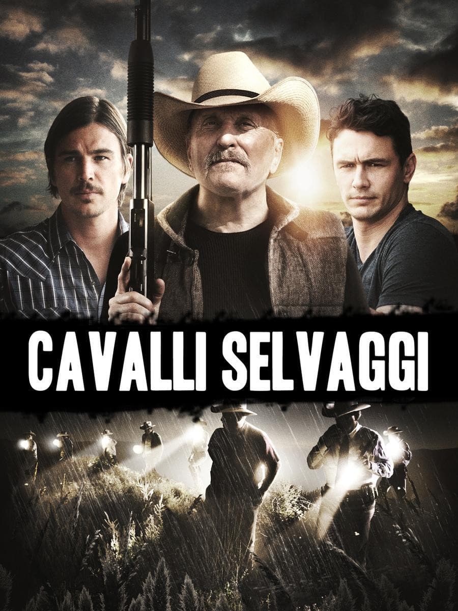 Poster di Cavalli selvaggi