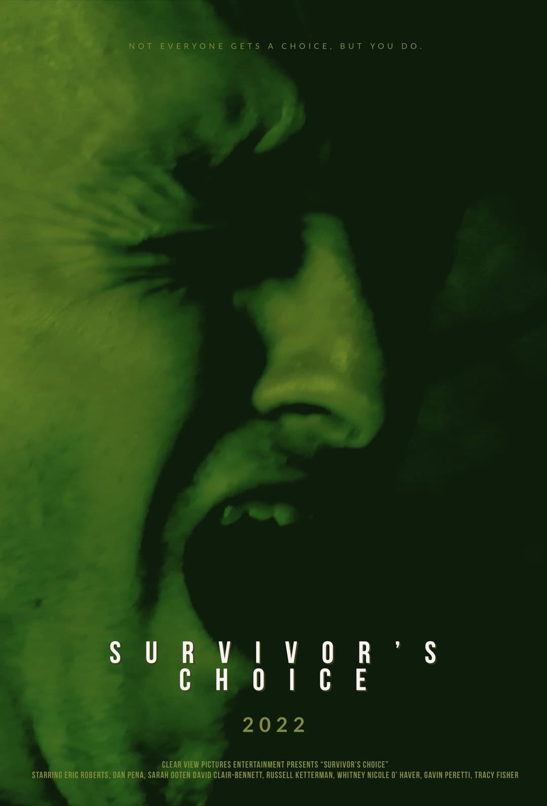 Poster di Survivor's Choice