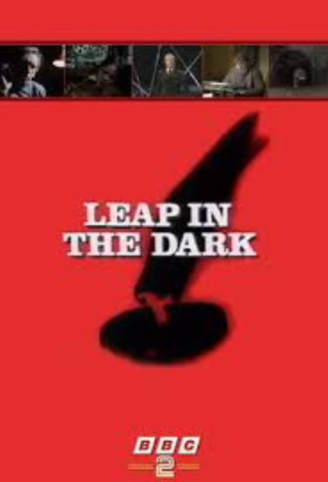 Poster di Leap in the Dark