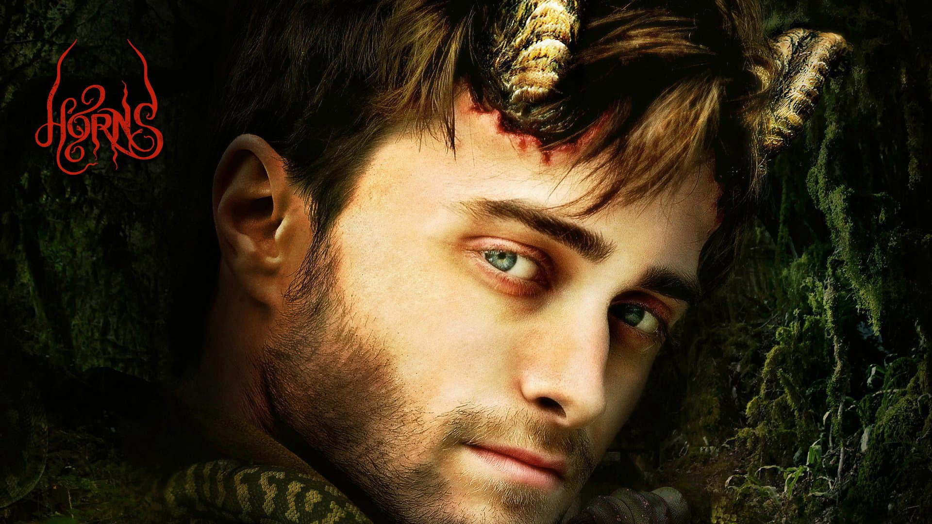 Horns - immagine