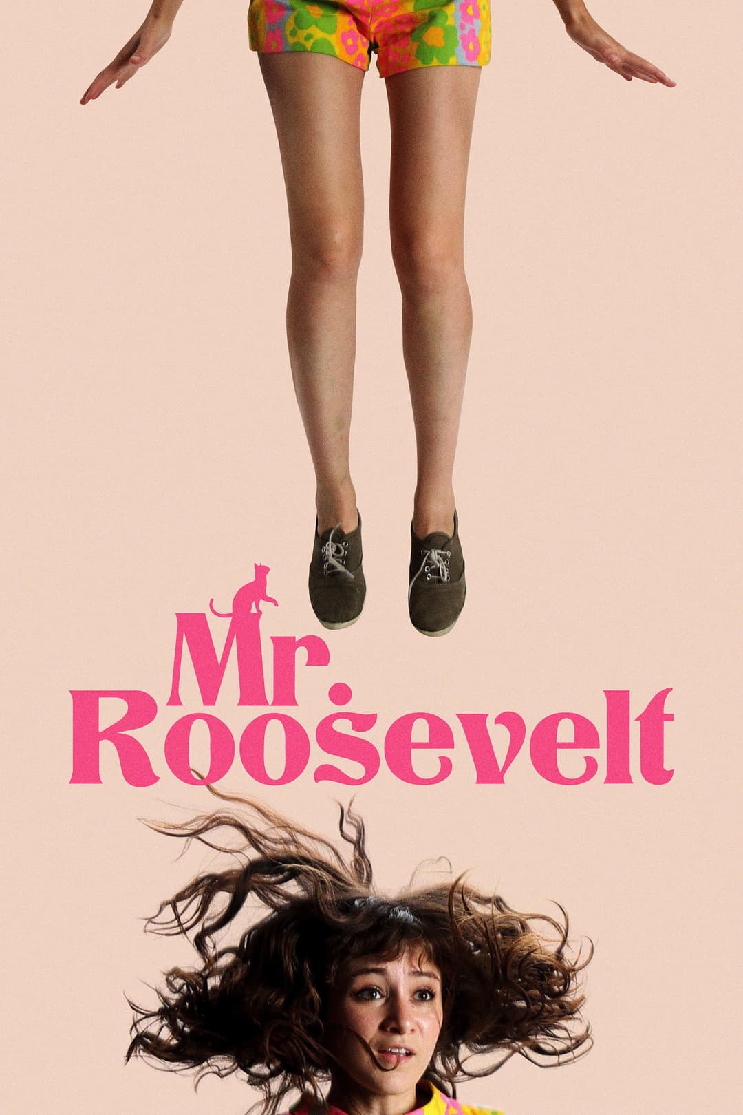 Poster di Mr. Roosevelt