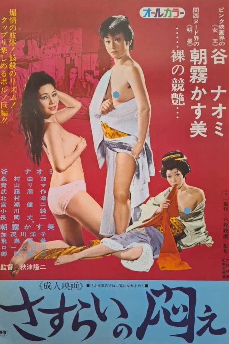 Poster di さすらいの悶え