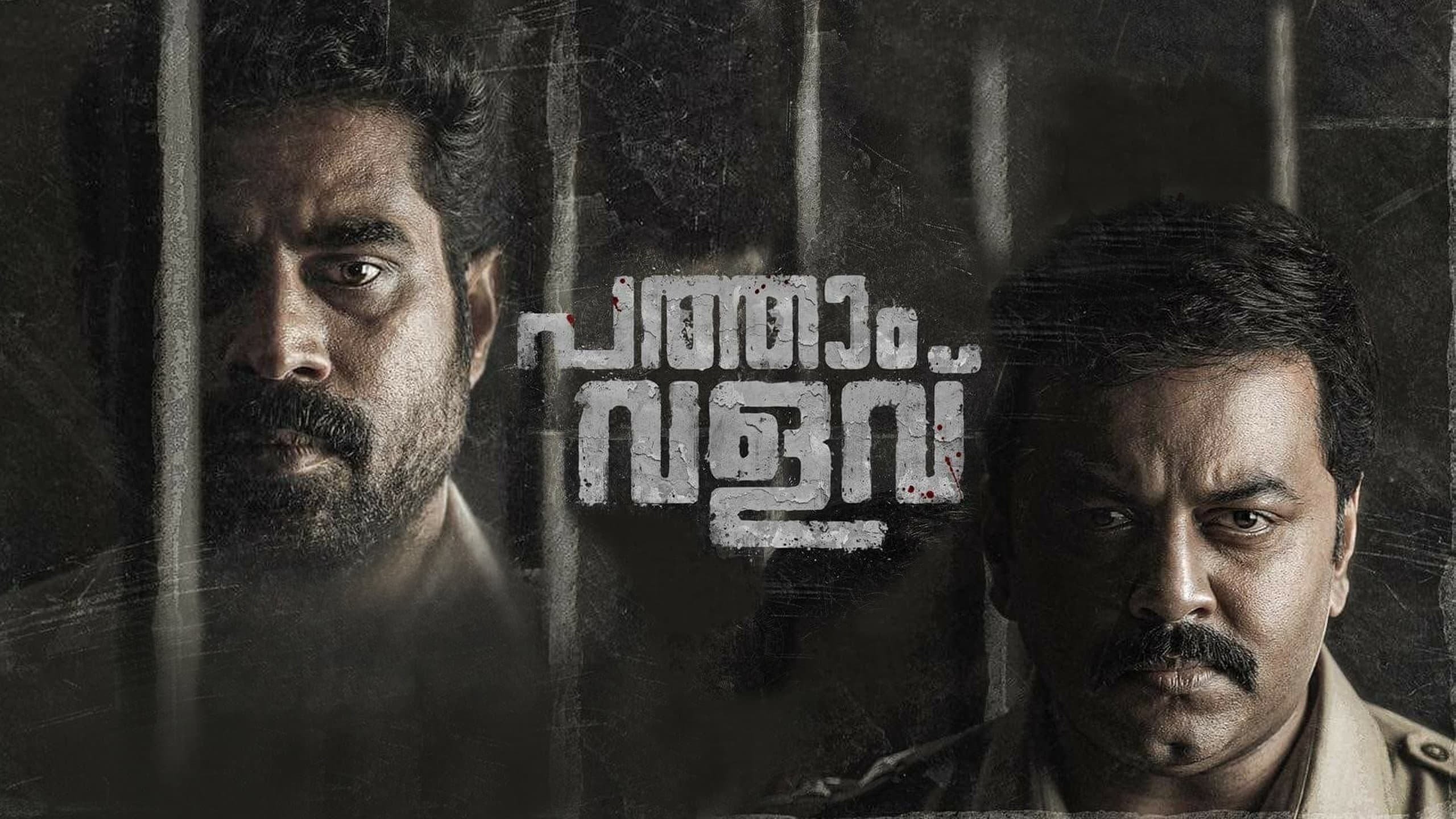 പത്താം വളവ് - immagine