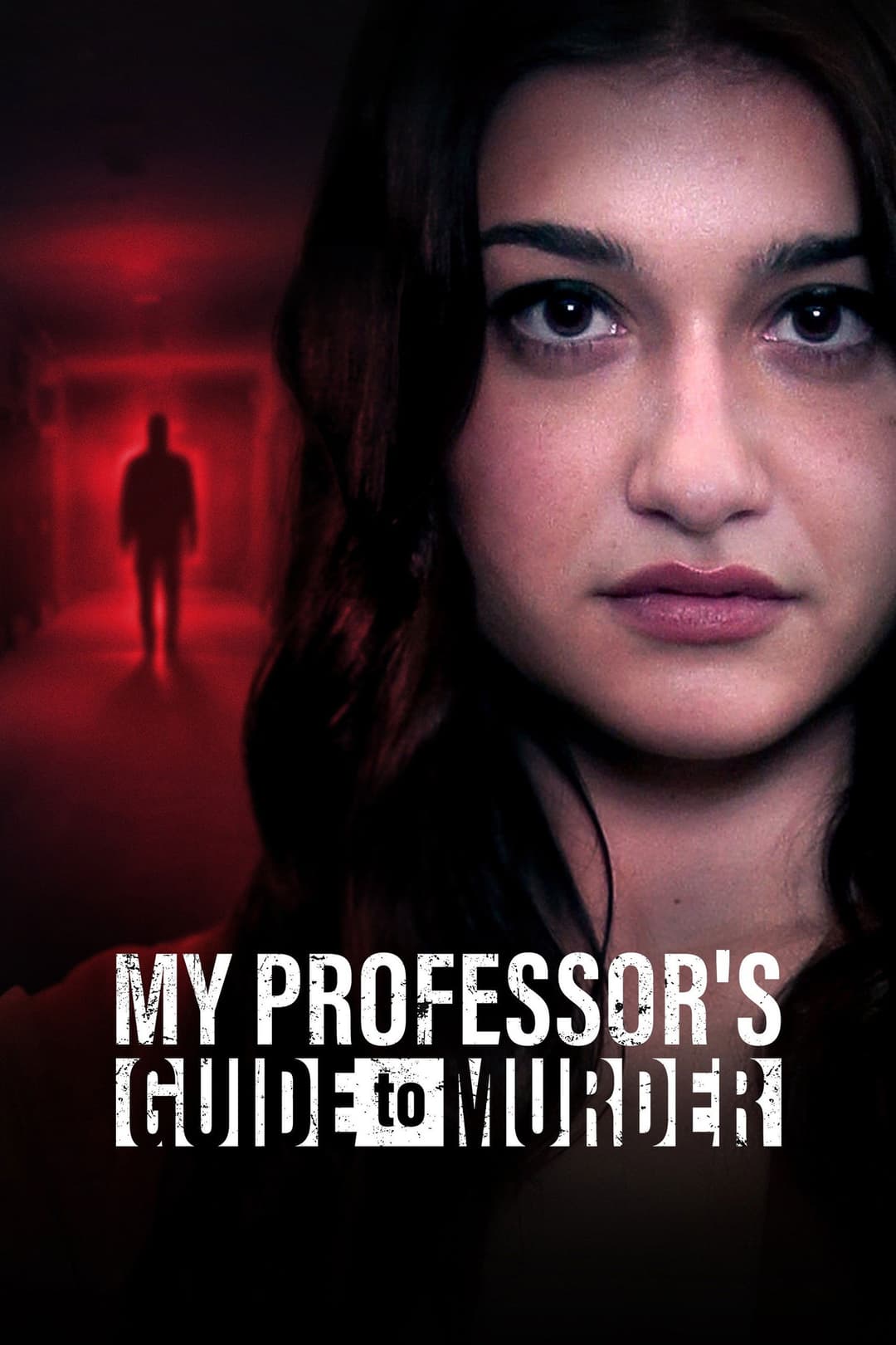 Poster di Le regole dell'omicidio perfetto
