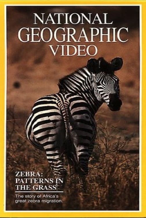 Poster di Zebras: Patterns in the Grass