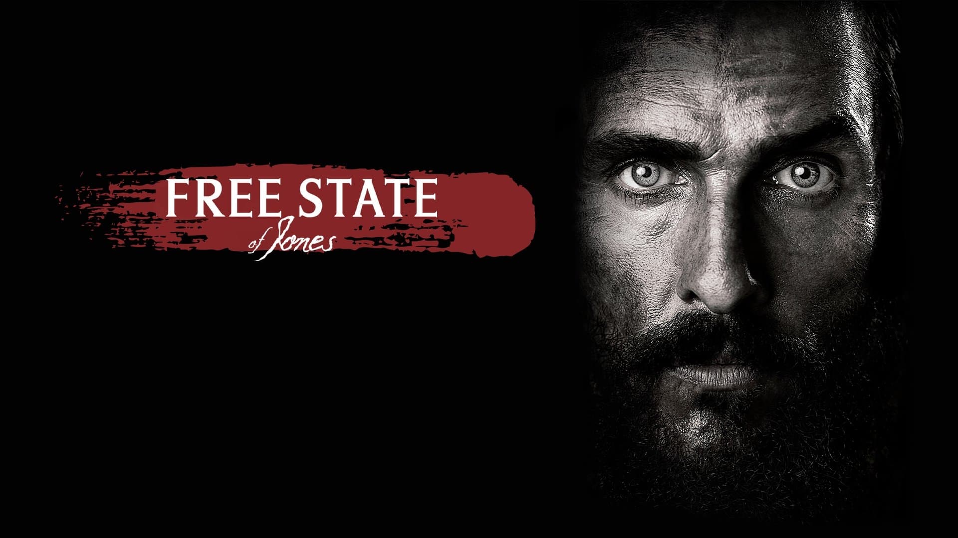 Free State of Jones - immagine