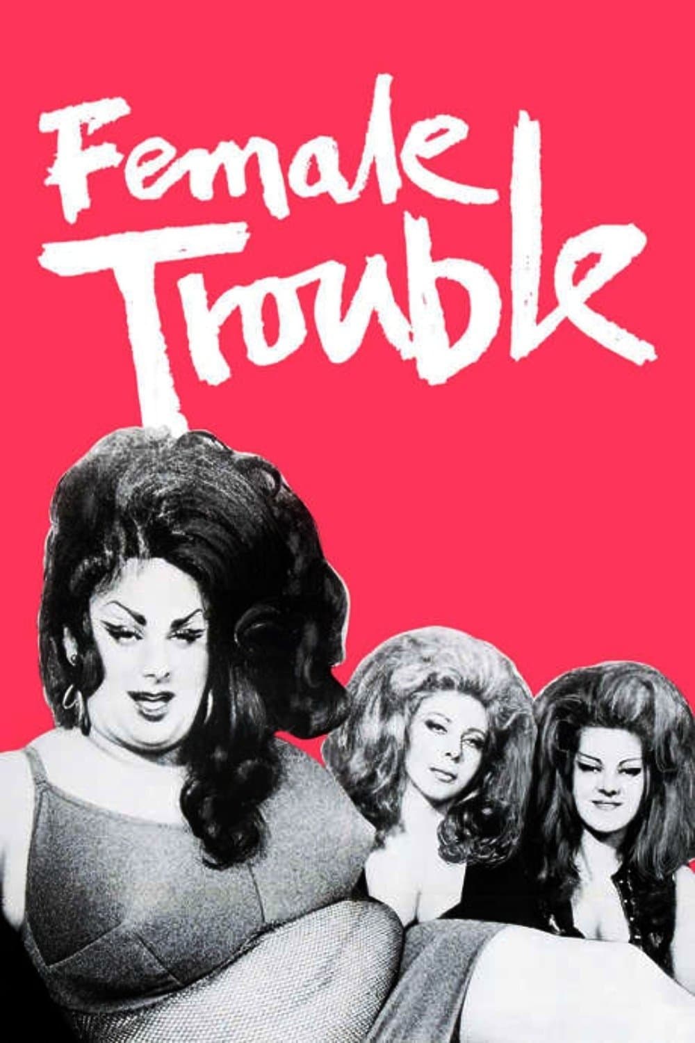 Poster di Female Trouble