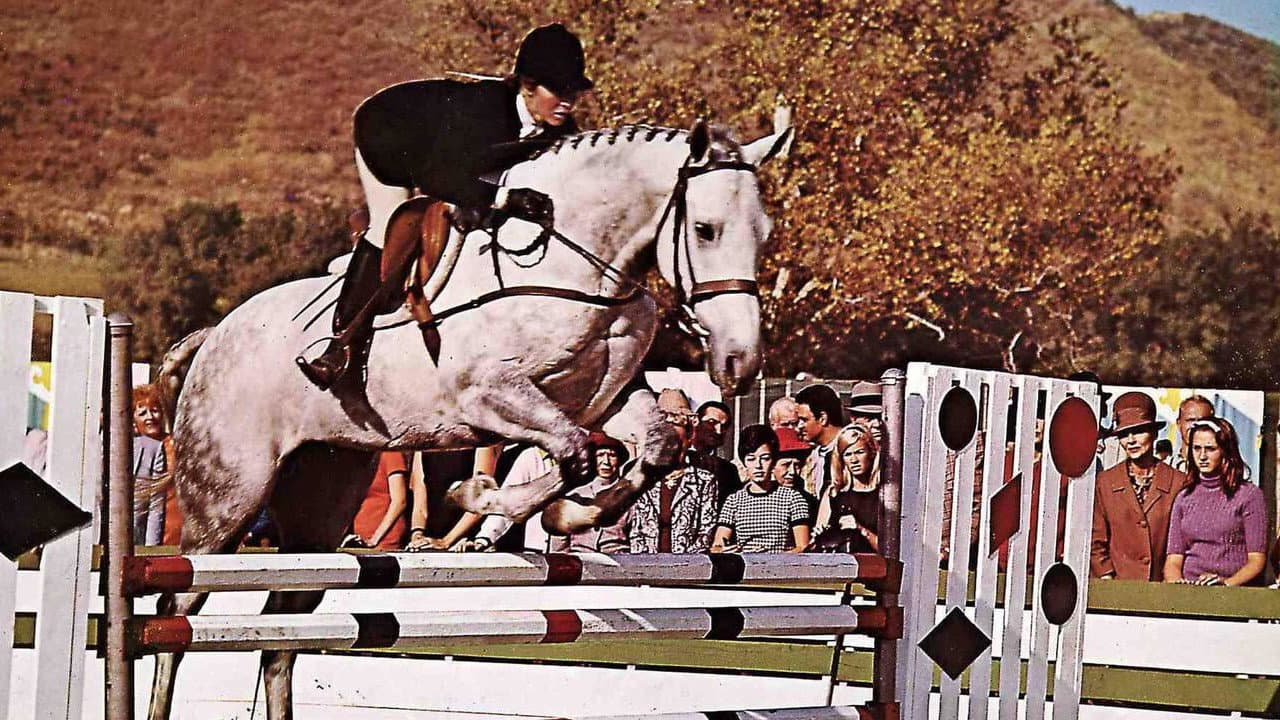 Il cavallo in doppiopetto - immagine