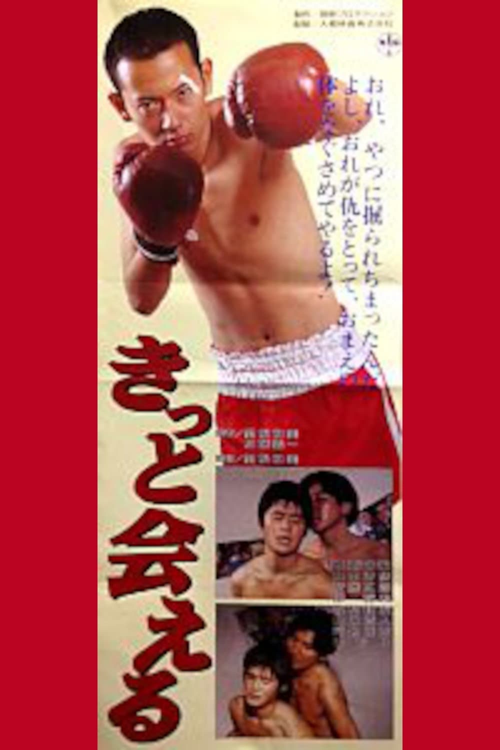 Poster di きっと会える