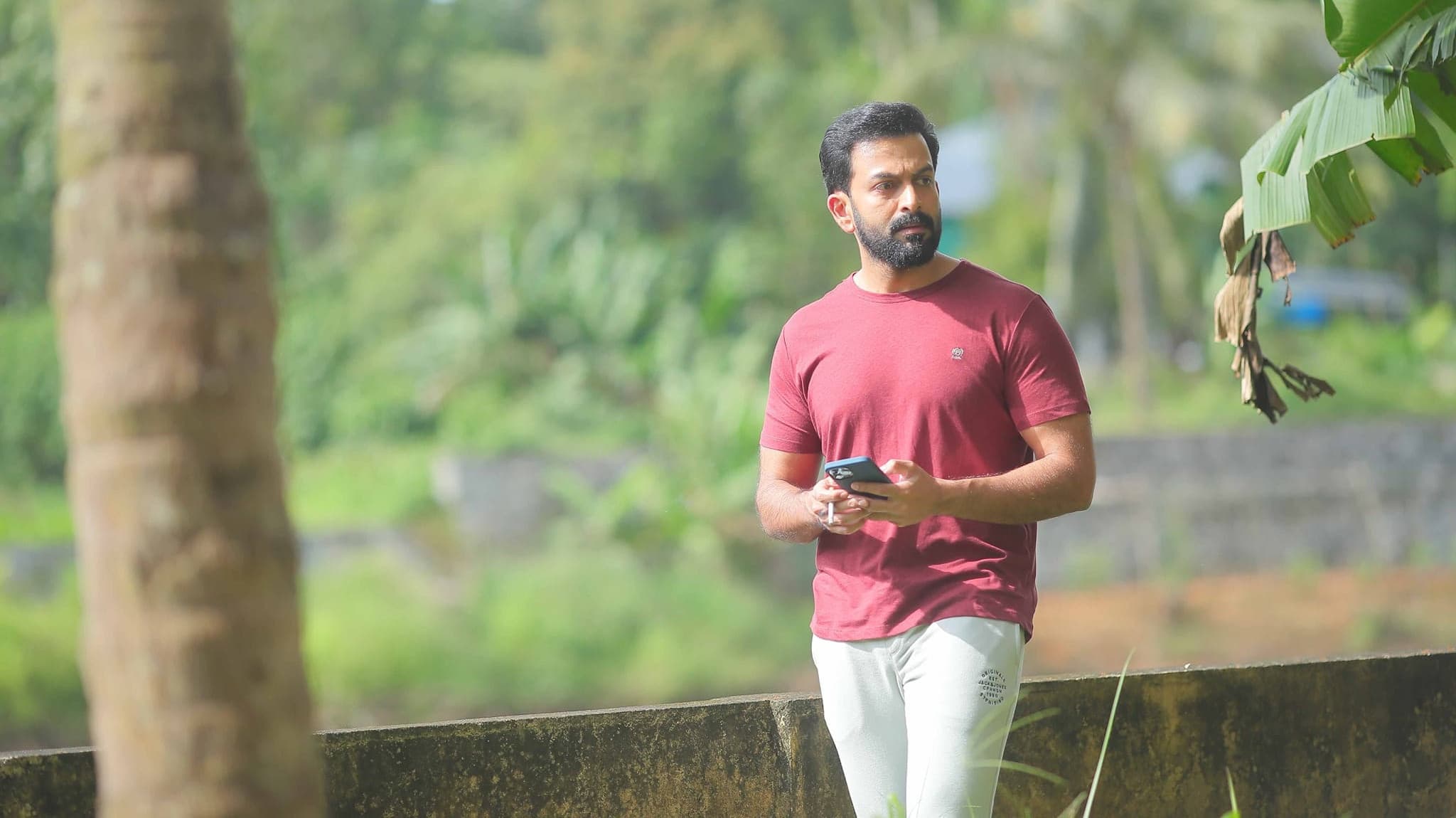 ഗോൾഡ് - immagine