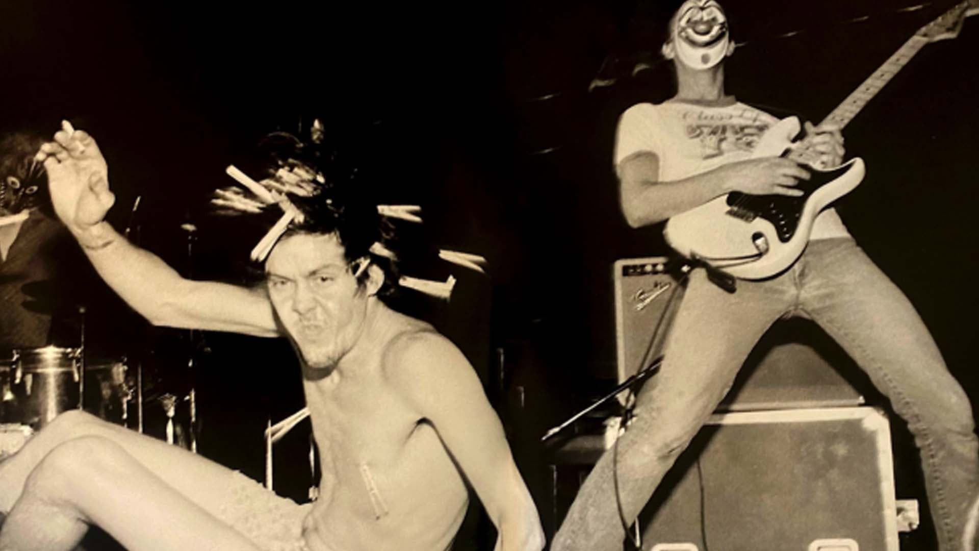 Butthole Surfers: The Hole Truth and Nothing Butt - immagine