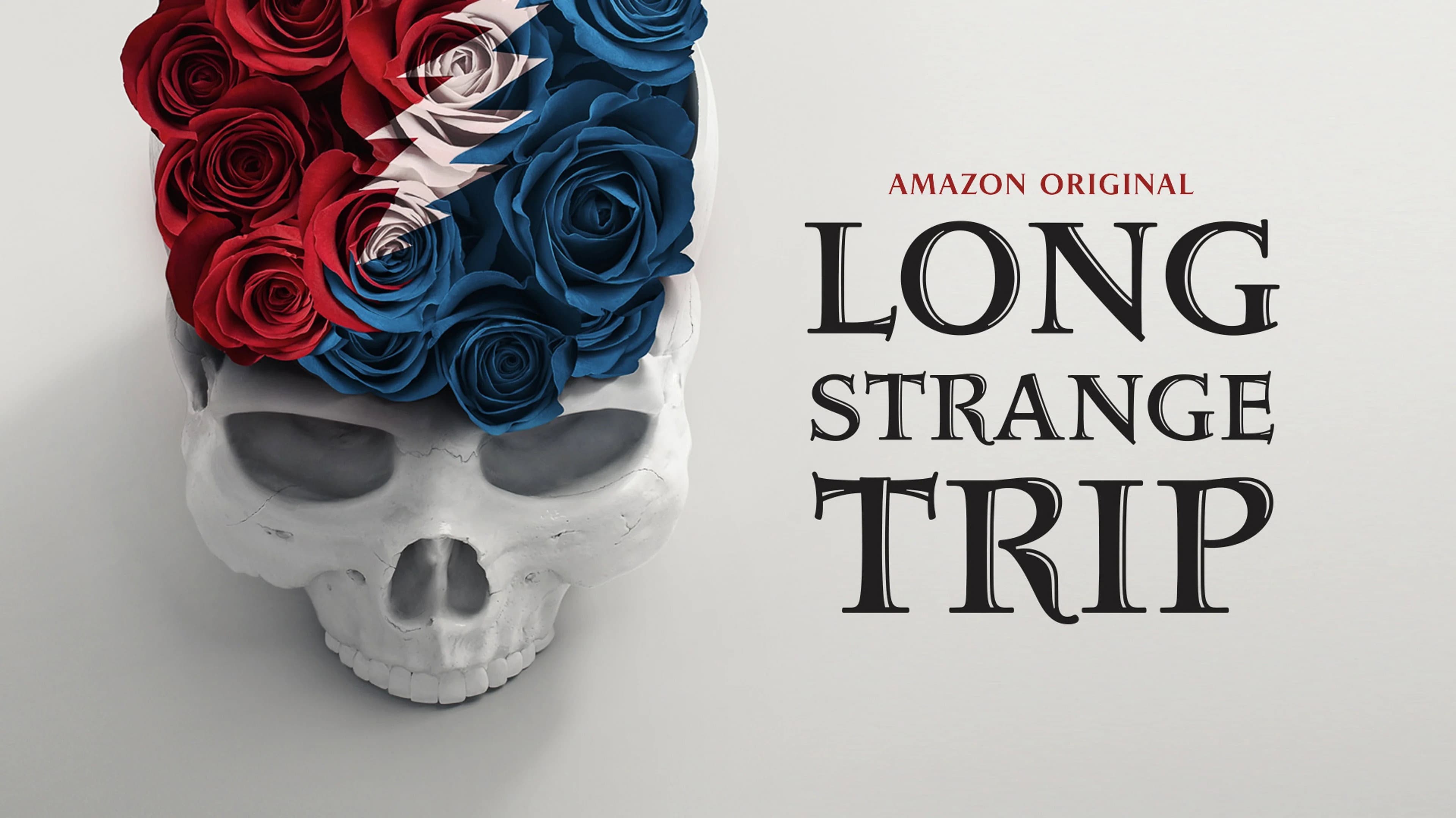 Long Strange Trip - immagine