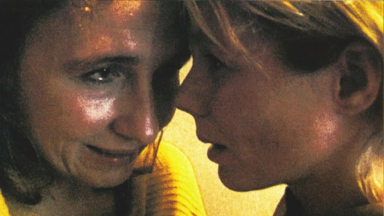 Idioti - immagine