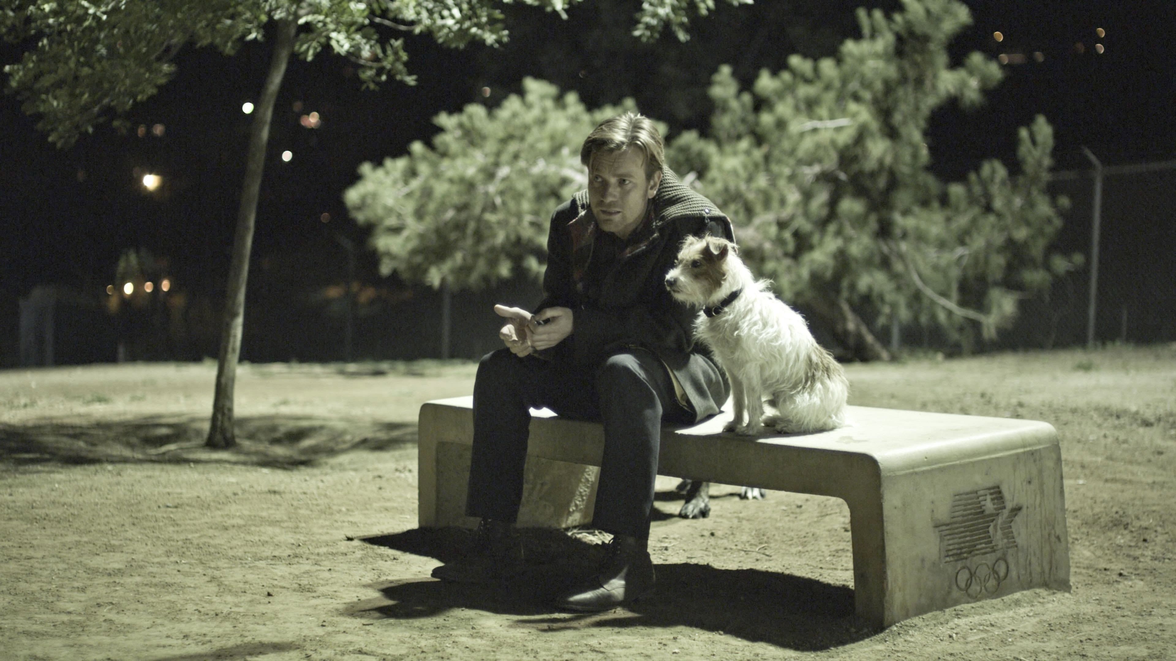 Beginners - immagine