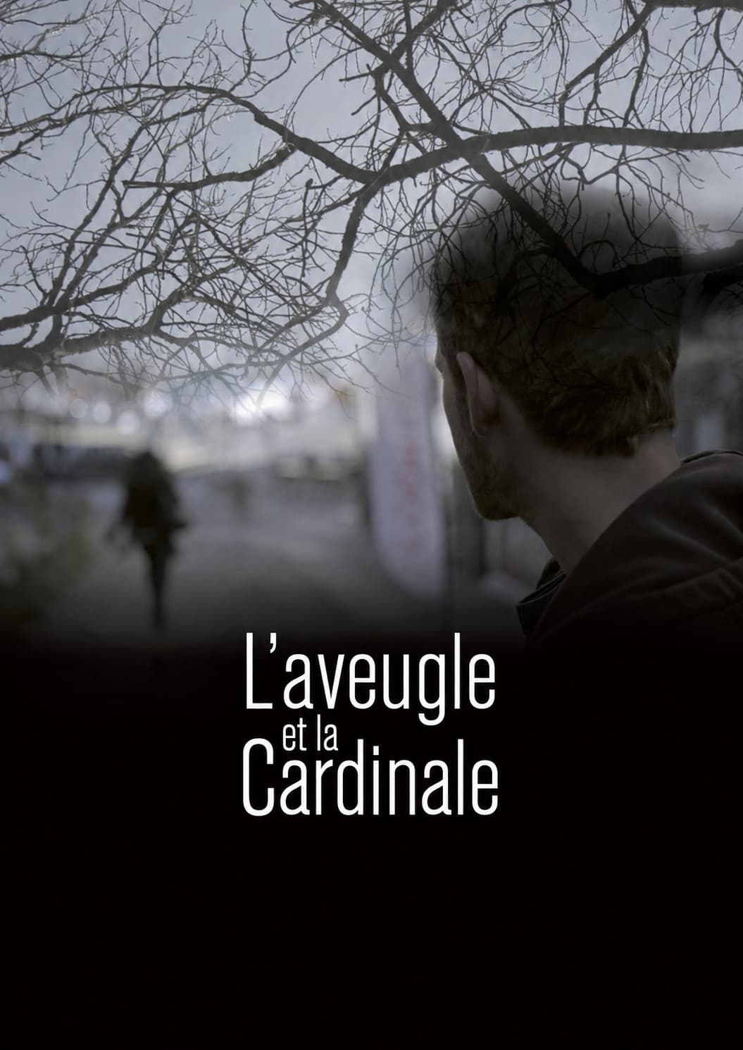 Poster di L'Aveugle et la Cardinale
