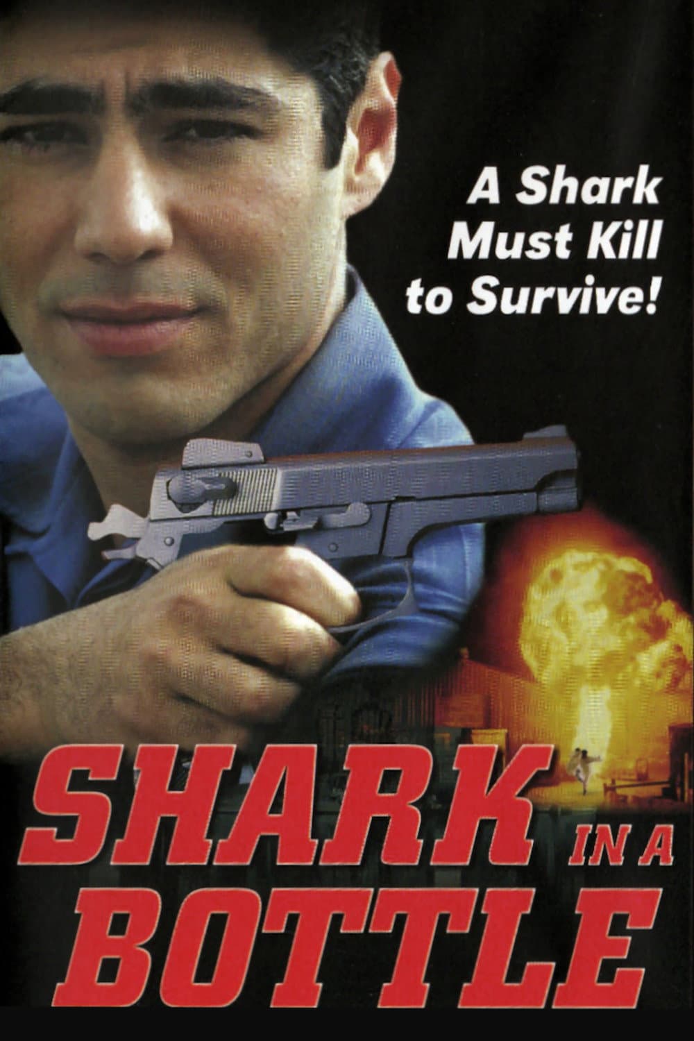 Poster di Shark in a Bottle