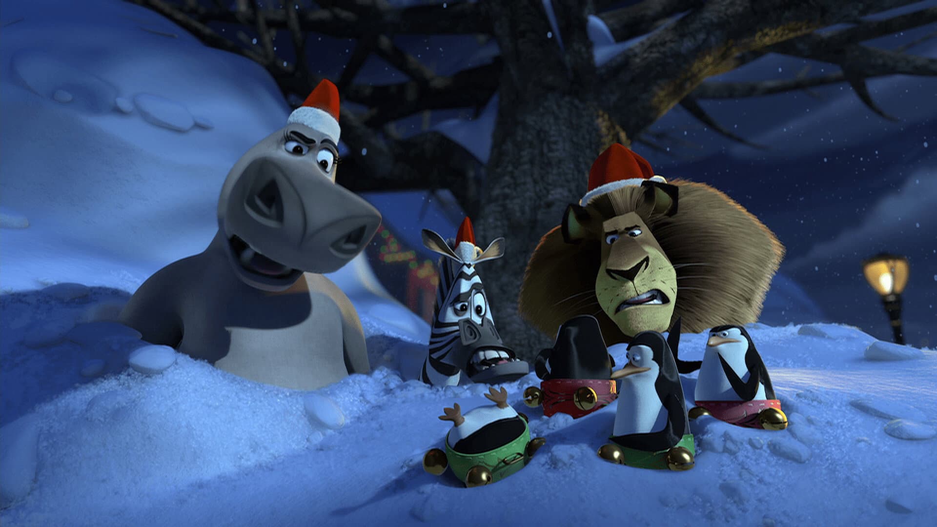 Buon Natale, Madagascar! - immagine