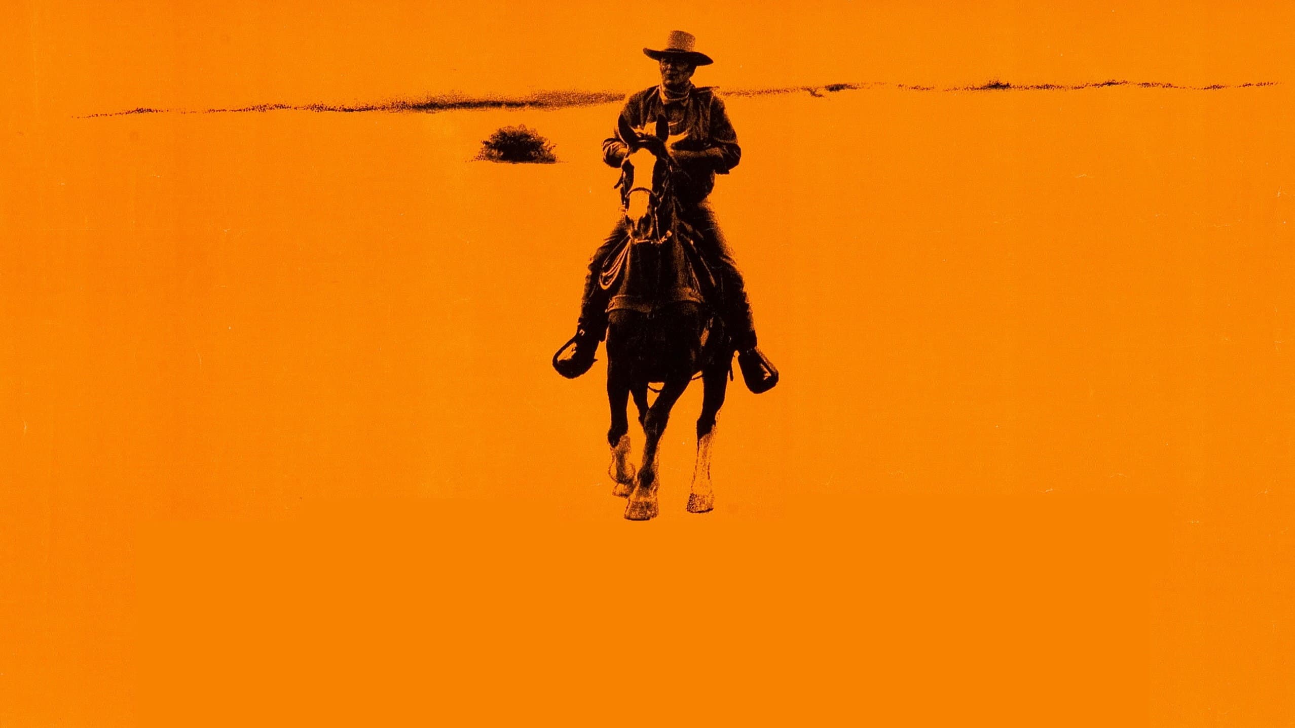 Chisum - immagine