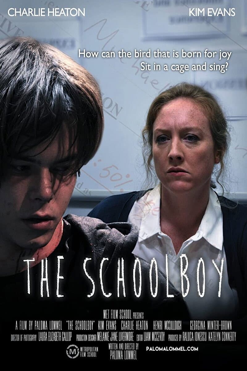 Poster di The Schoolboy