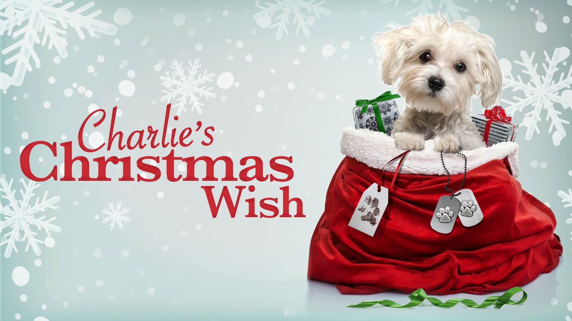 Charlie's Christmas Wish - immagine