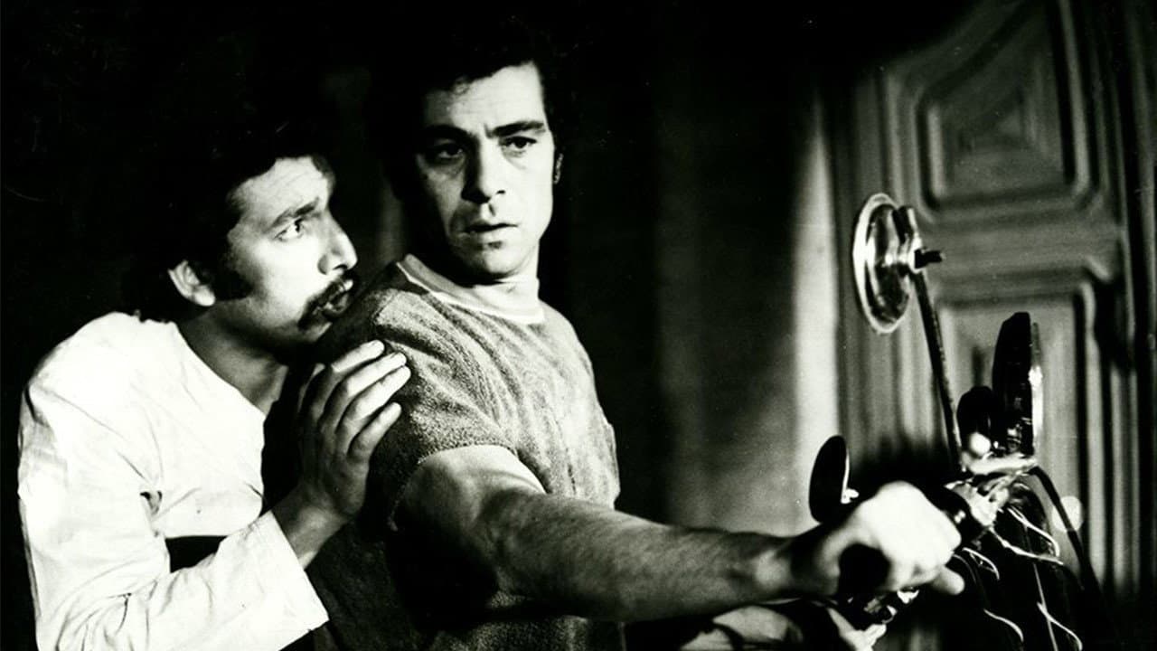 رضا موتوری - immagine