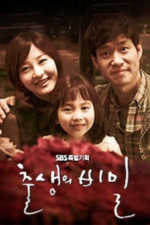 Poster di 출생의 비밀