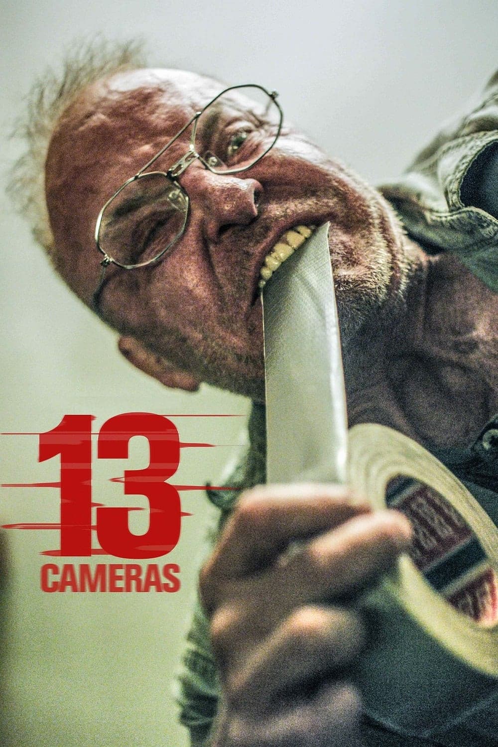 Poster di 13 Cameras