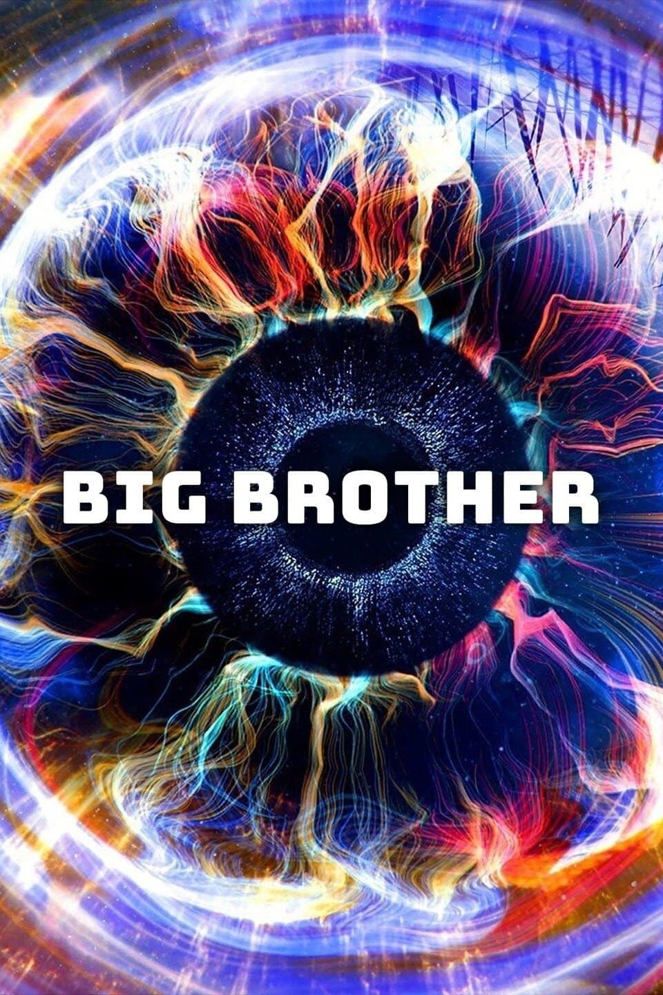 Poster di Big Brother