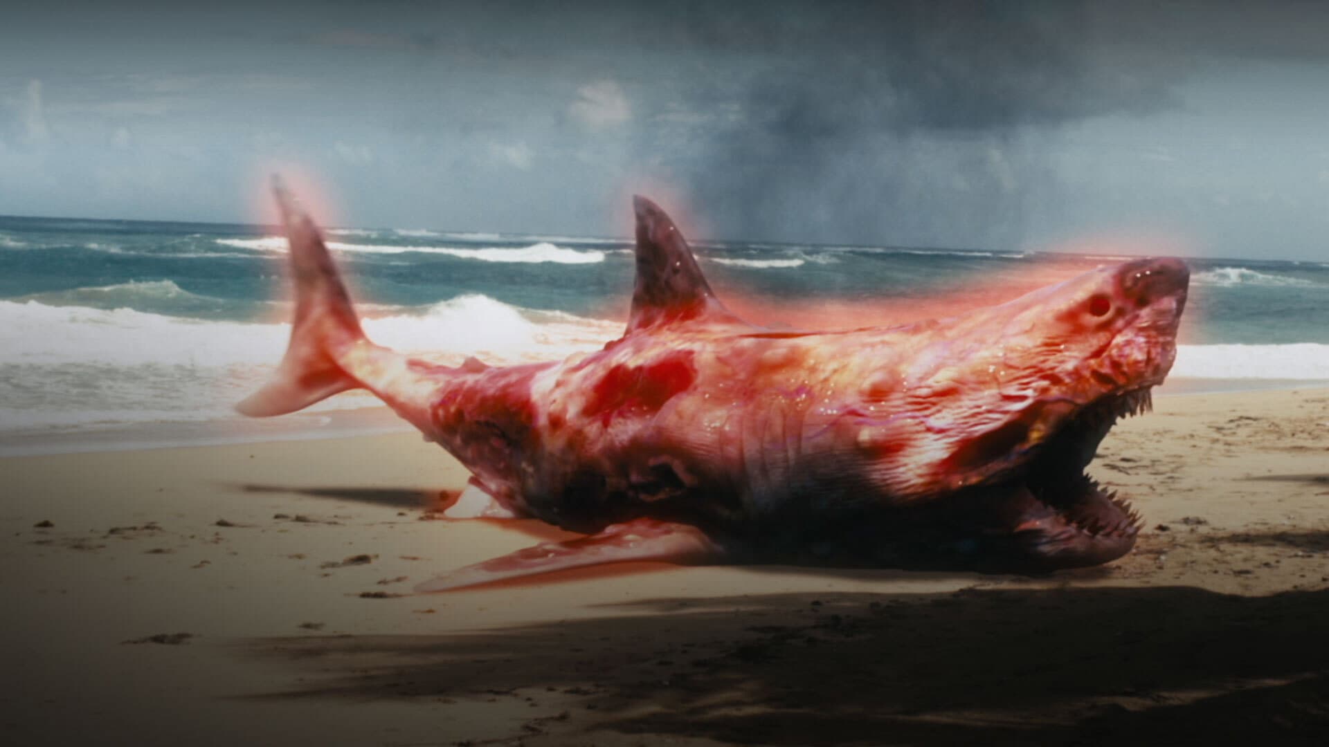 Atomic Shark - immagine