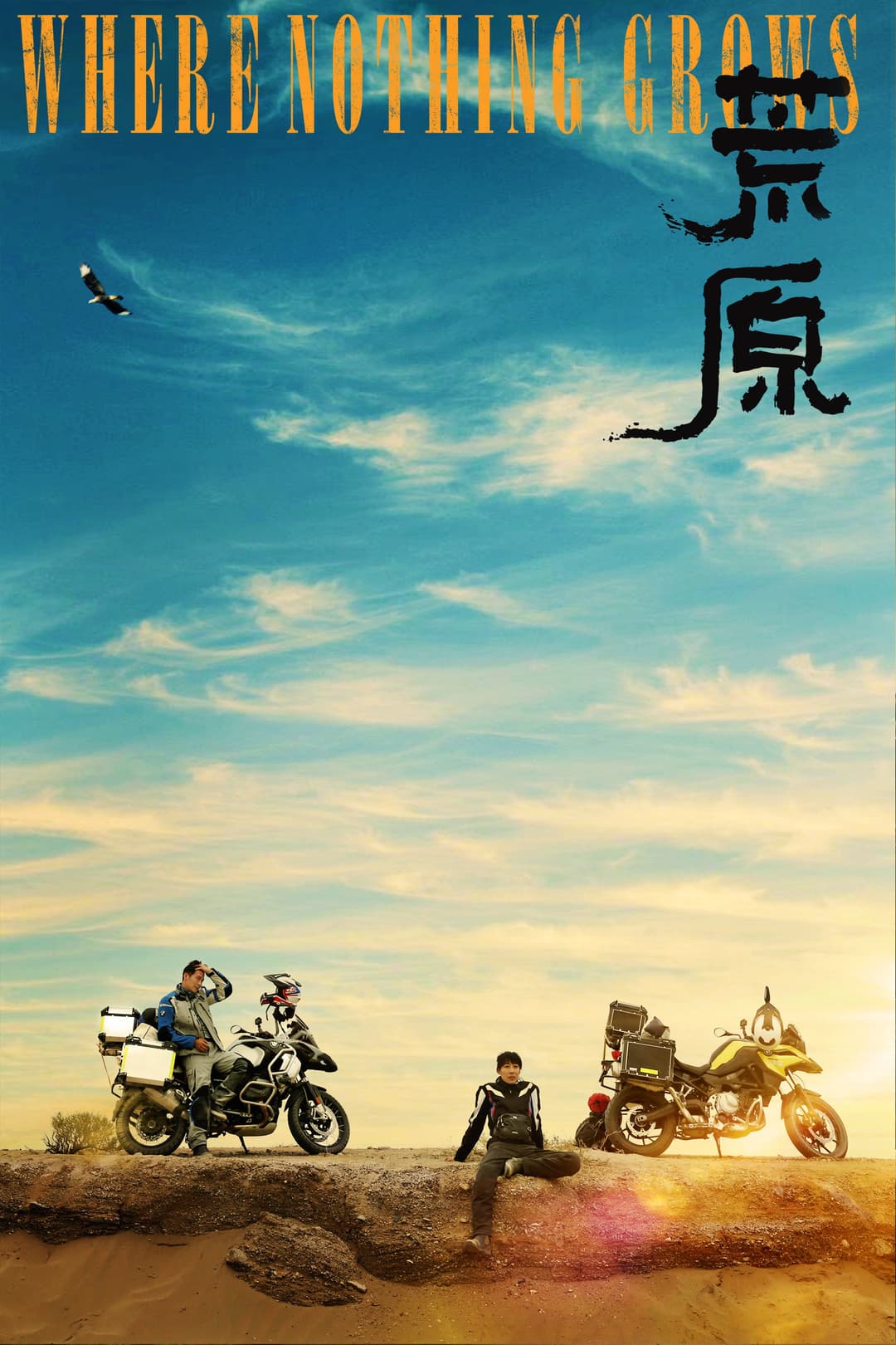 Poster di 荒原