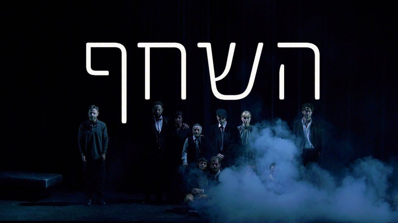 השחף - immagine