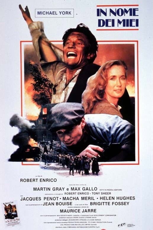 Poster di In nome dei miei